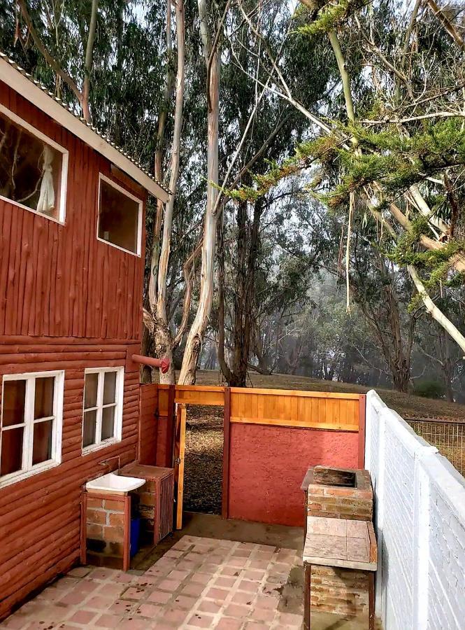 Cabana Con Tinaja Caliente, Quincho Y Pet Friendly Isla Negra Zewnętrze zdjęcie